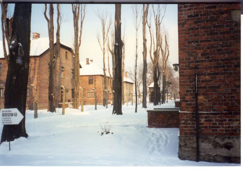 Auschwitz blocks